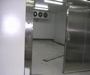 �綯ƽ����